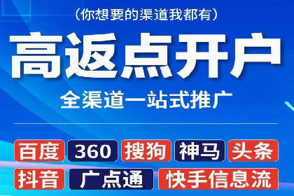 百度竞价排名服务：成功案例解析与优化策略