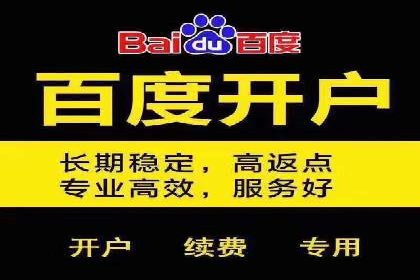 某知名企业SEM营销全案解析